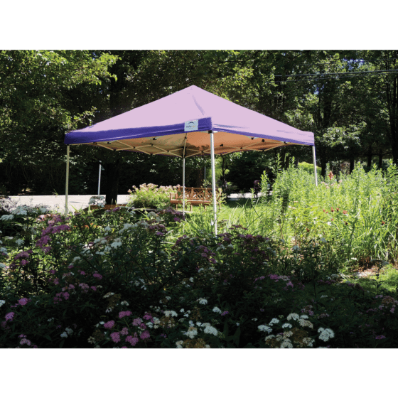 Shelterlogic 10x10 ST Pop-up Canopy, Purple Cover, Black Roller Bag